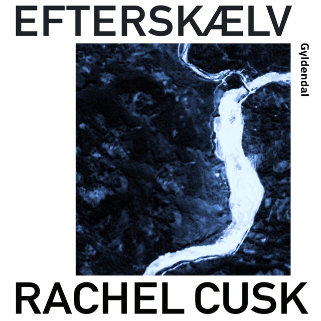 Copertina del libro per Efterskælv