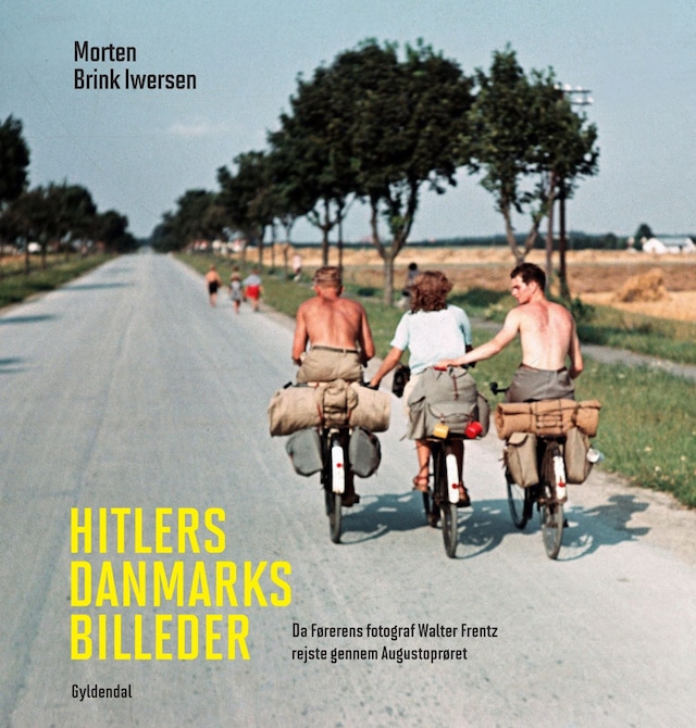 Book cover for Hitlers Danmarksbilleder