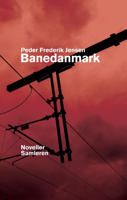 Banedanmark bookCoverFor