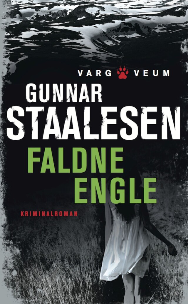 Book cover for Faldne engle