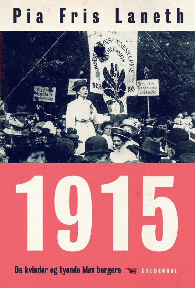 Book cover for 1915 - Da kvinder og tyende blev borgere