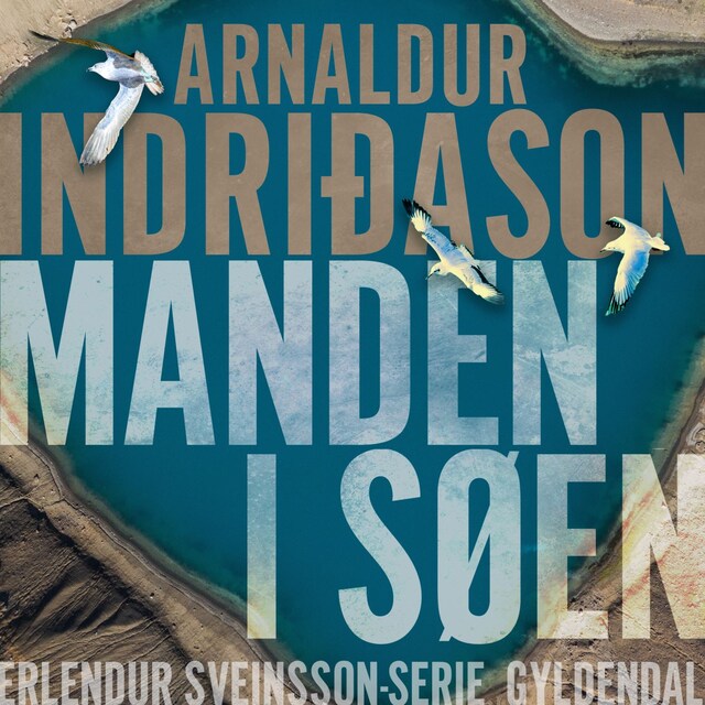 Book cover for Manden i søen