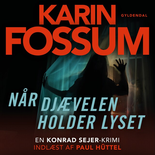 Couverture de livre pour Når djævelen holder lyset