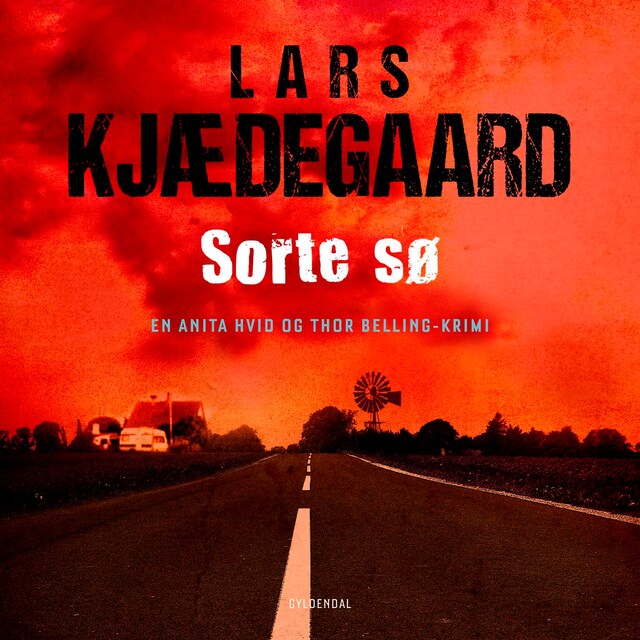 Book cover for Sorte sø