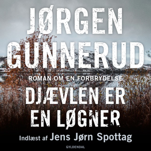 Okładka książki dla Djævlen er en løgner