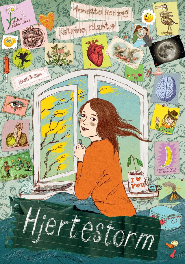 Book cover for Hjertestorm