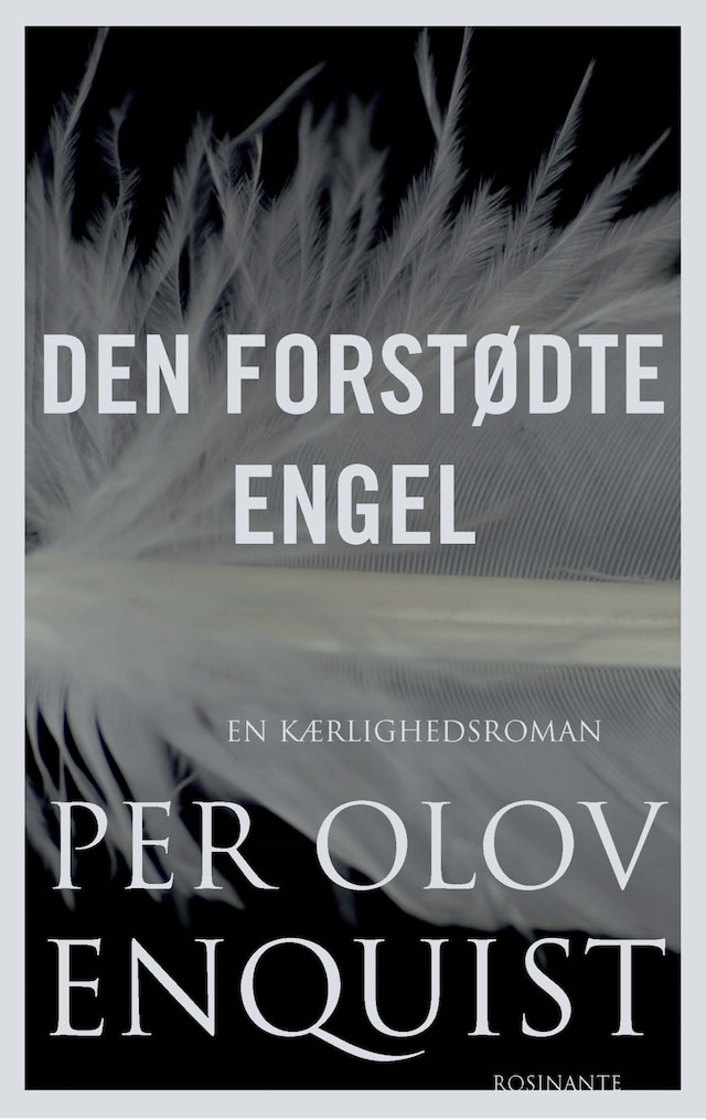 Book cover for Den forstødte engel