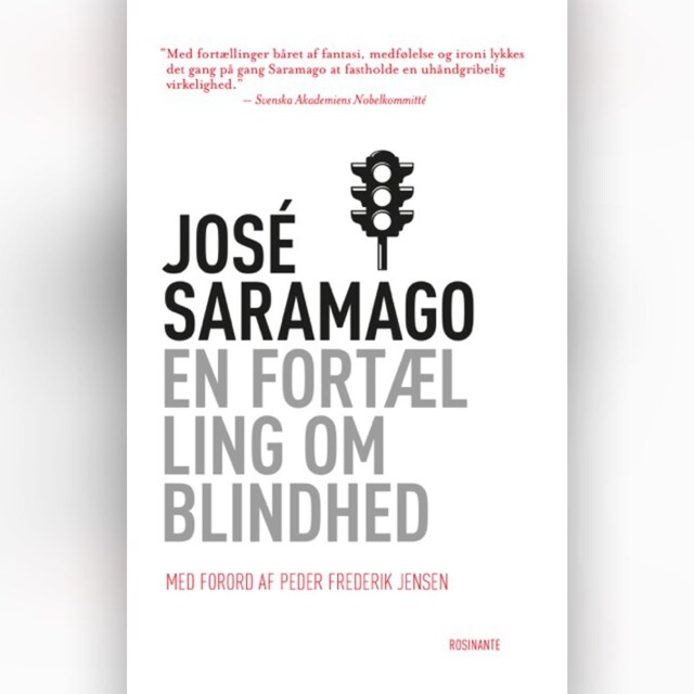 Book cover for En fortælling om blindhed