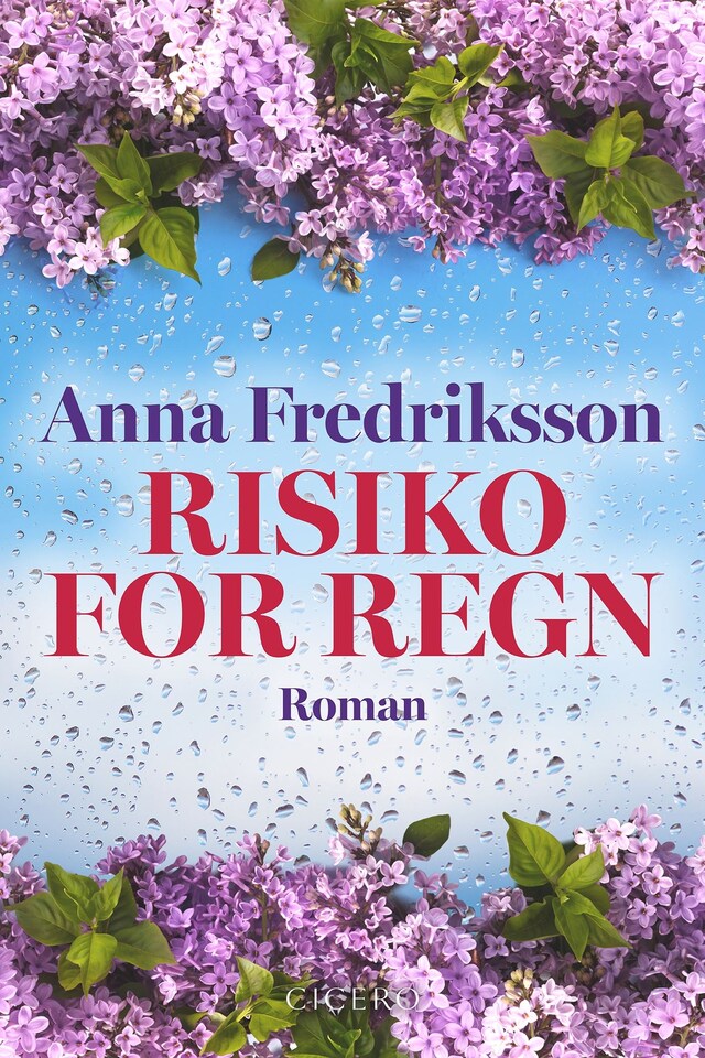 Book cover for Risiko for regn