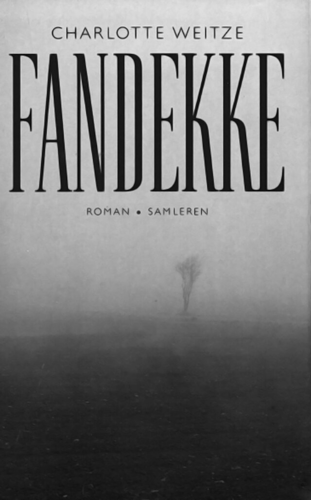 Boekomslag van Fandekke