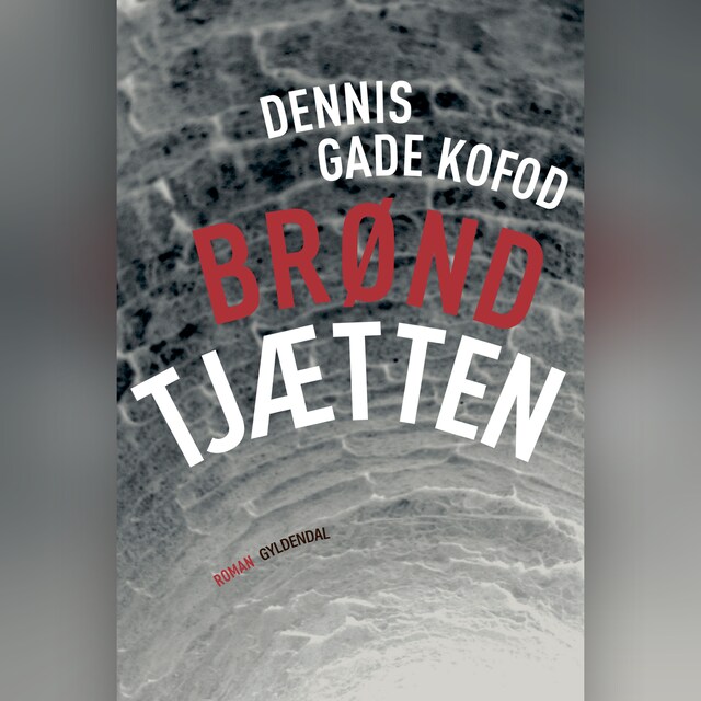 Okładka książki dla Brøndtjætten