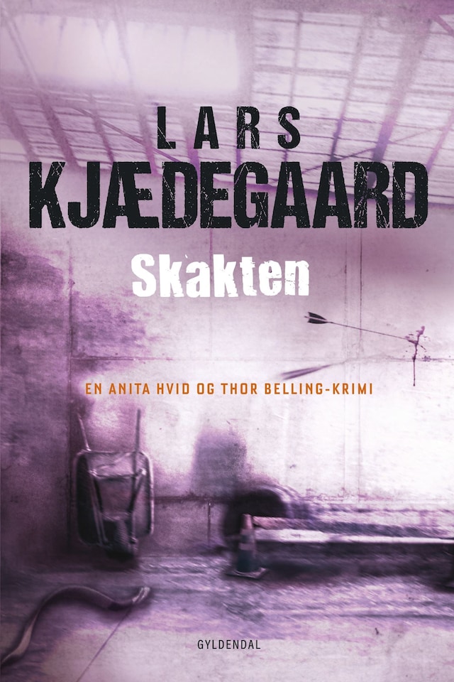 Book cover for Skakten