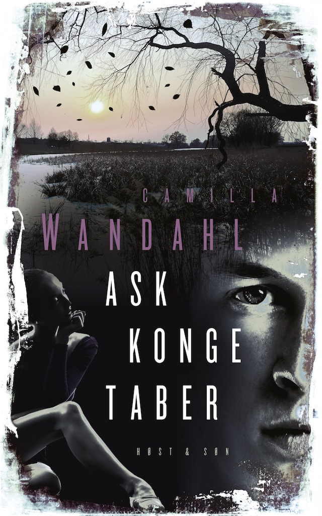 Copertina del libro per Ask konge taber