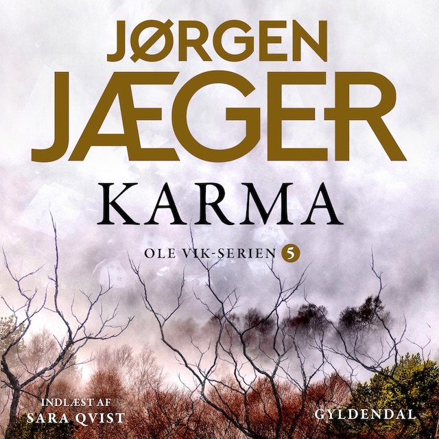 Portada de libro para Karma