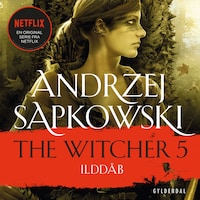 THE WITCHER 5