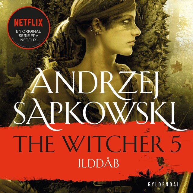 Book cover for THE WITCHER 5