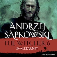 THE WITCHER 6