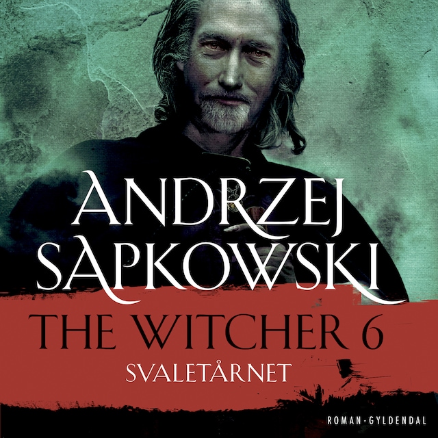 Book cover for THE WITCHER 6