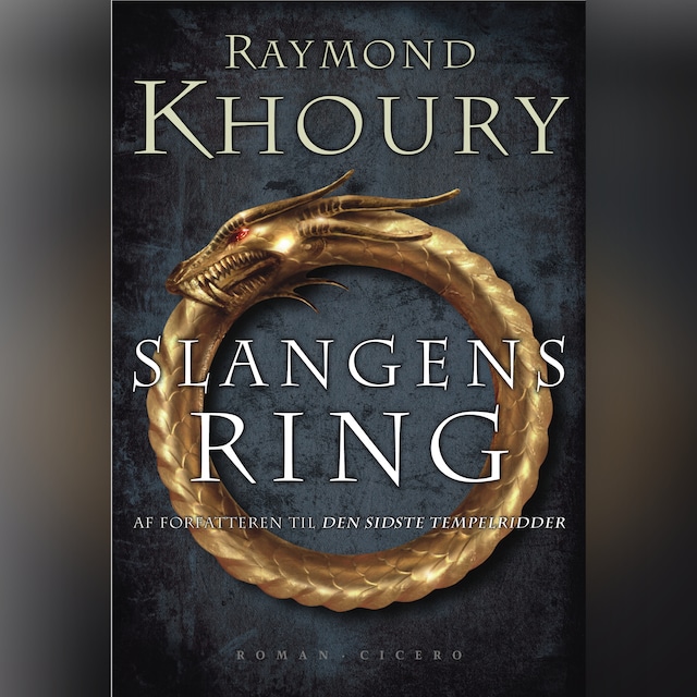 Book cover for Slangens ring