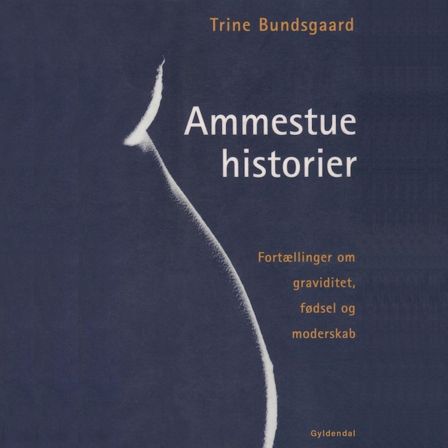 Buchcover für Ammestuehistorier