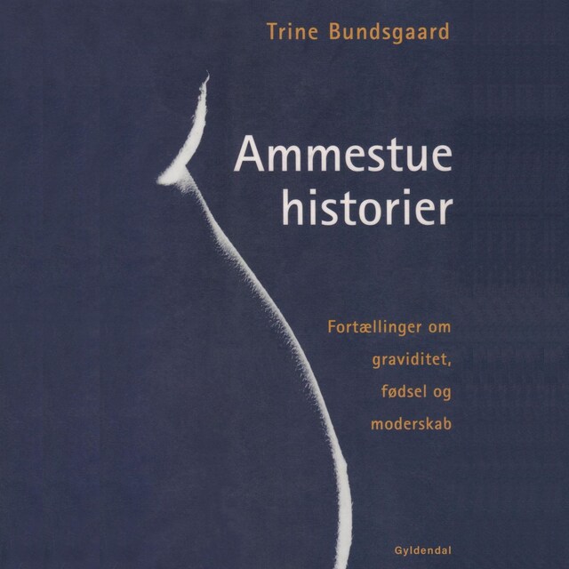 Buchcover für Ammestuehistorier