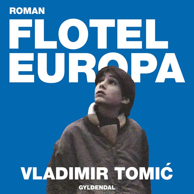 Book cover for Flotel Europa