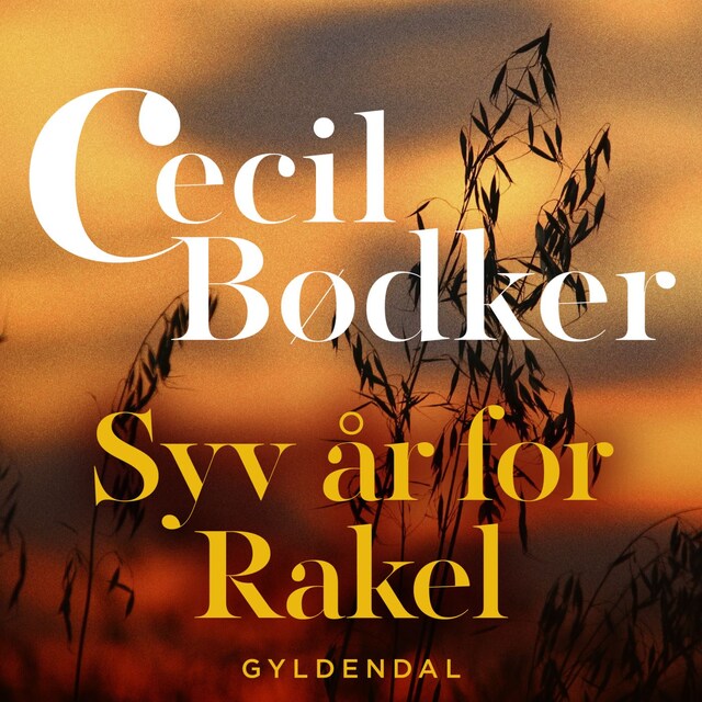 Book cover for Syv år for Rakel