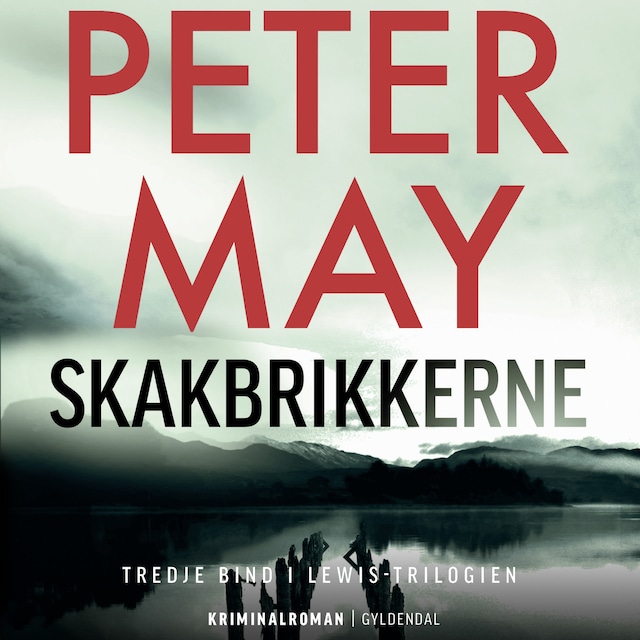 Book cover for Skakbrikkerne