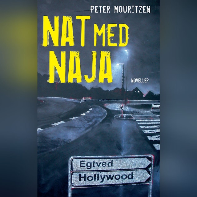 Boekomslag van Nat med Naja