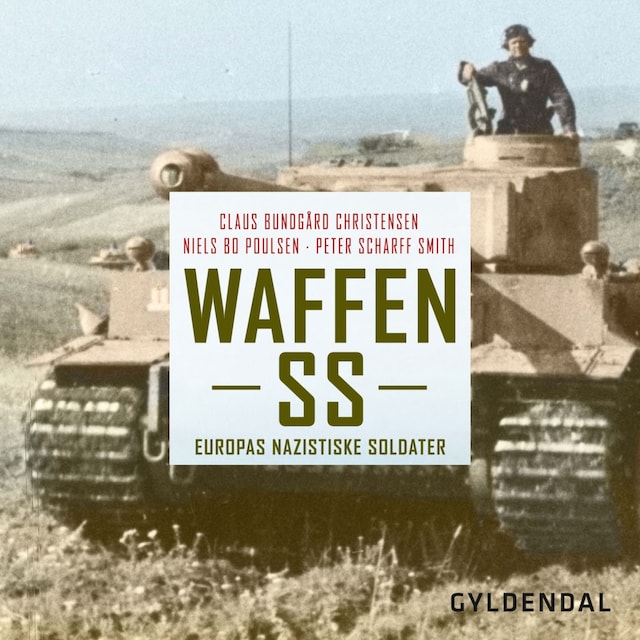 Buchcover für Waffen SS
