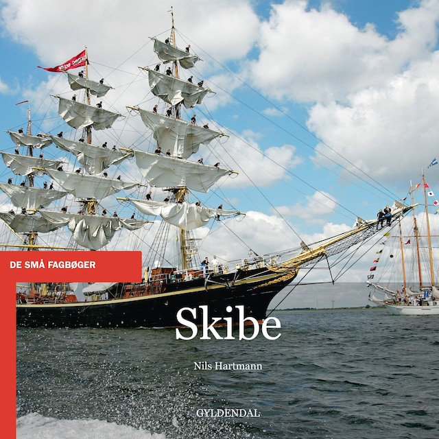 Buchcover für Skibe