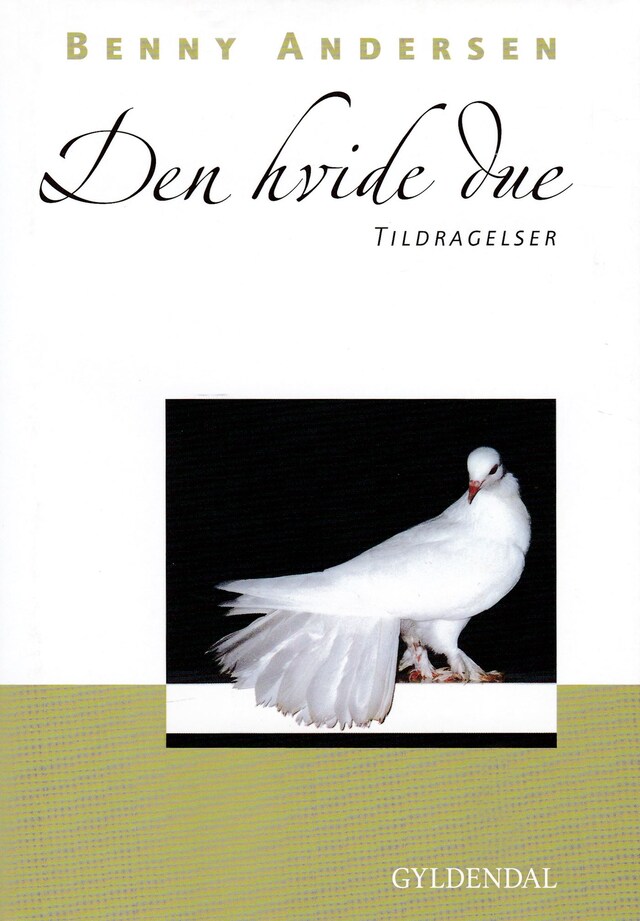 Book cover for Den hvide due : tildragelser