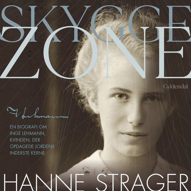 Book cover for Skyggezone