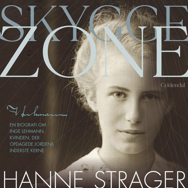 Buchcover für Skyggezone