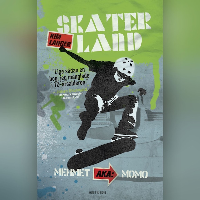Book cover for Skaterland - Mehmet aka Momo
