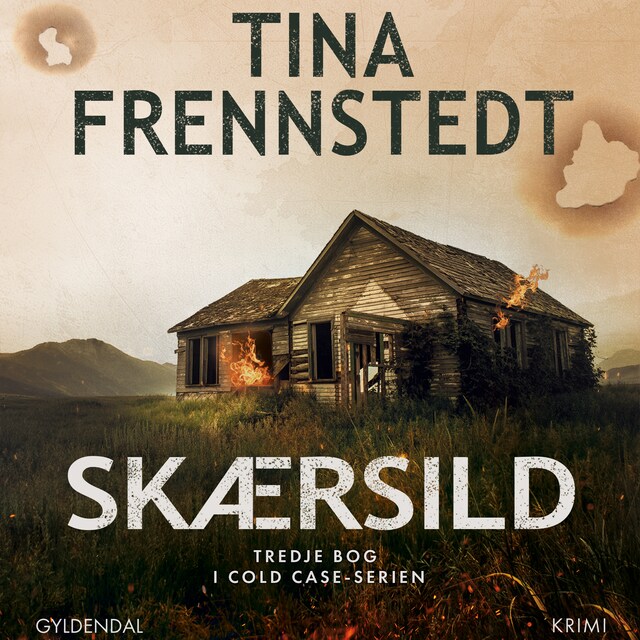 Book cover for Skærsild