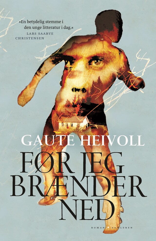 Couverture de livre pour Før jeg brænder ned