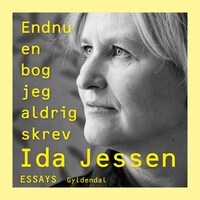 Endnu en bog jeg aldrig skrev