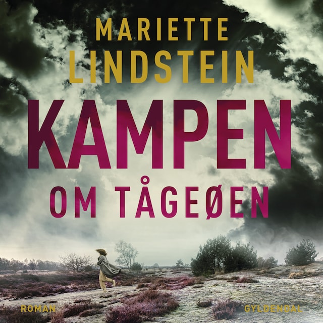 Book cover for Kampen om Tågeøen