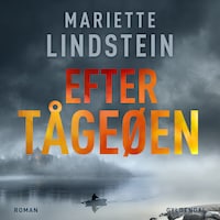 Efter Tågeøen