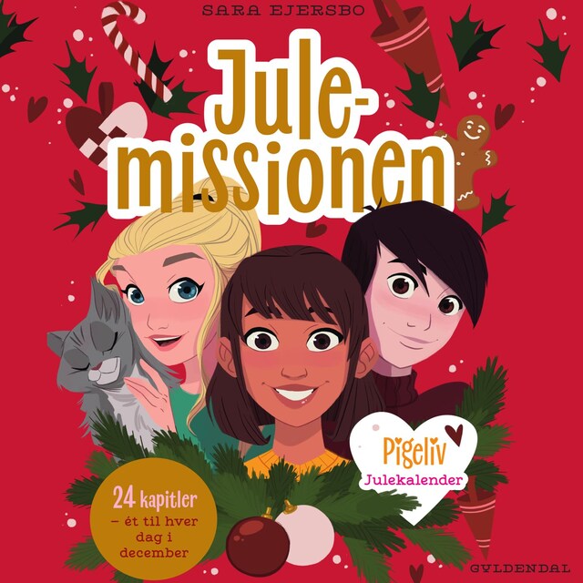 Book cover for Pigeliv - Julemissionen. Julekalender