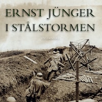 I stålstormen