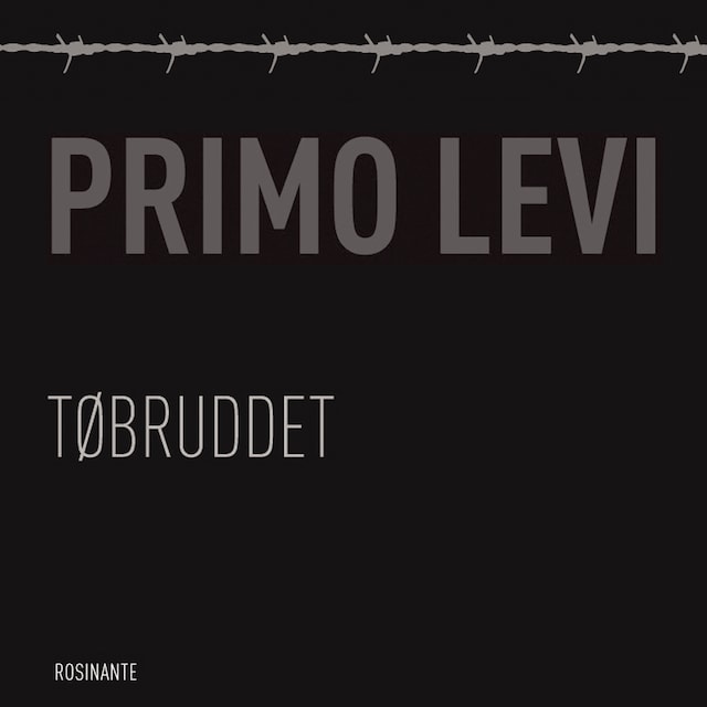 Book cover for Tøbruddet