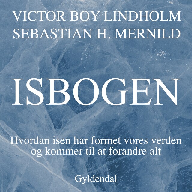 Book cover for Isbogen
