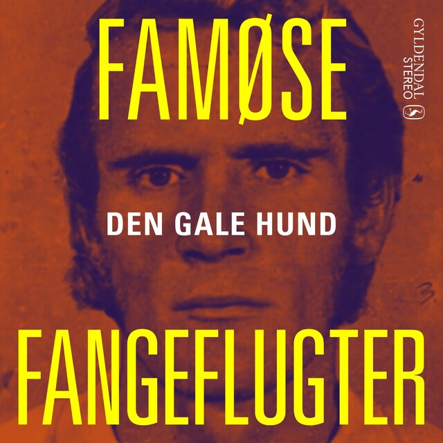 Book cover for Den gale hund