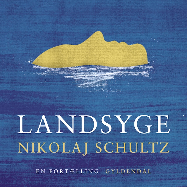 Book cover for Landsyge