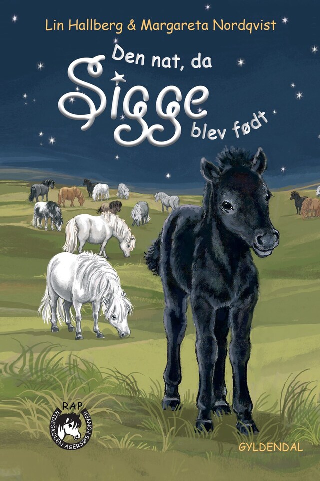 Book cover for Sam og Sigge 2 - Den nat da Sigge blev født