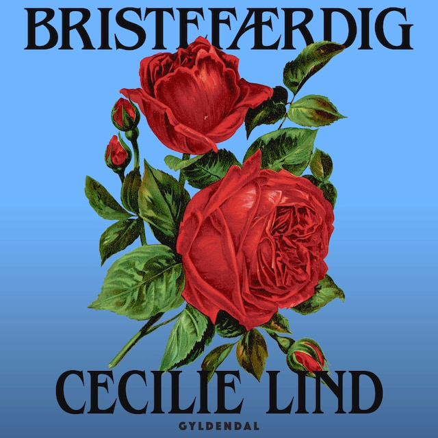 Bogomslag for Bristefærdig