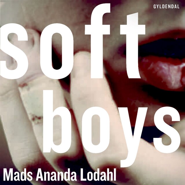 Bogomslag for Soft Boys