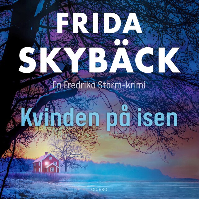 Kvinden på isen Bogomslag for Kvinden på isen